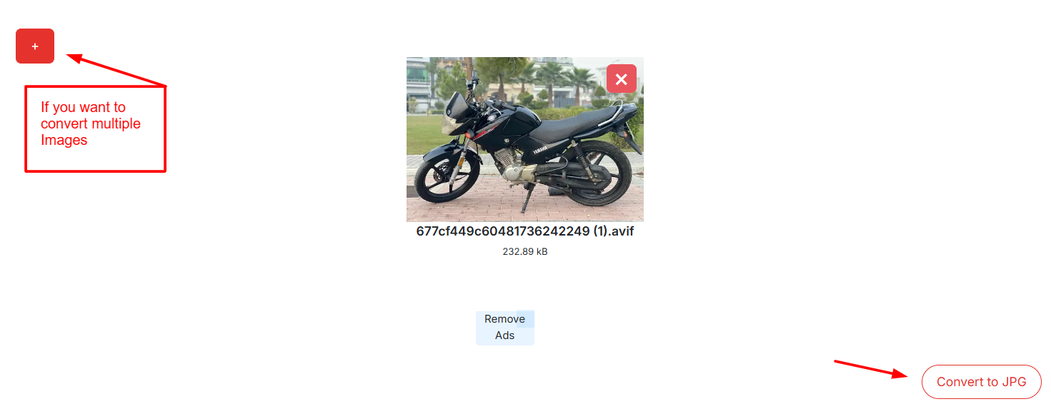 Step 2 to convert AVIF to JPG